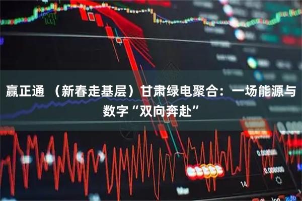 赢正通 （新春走基层）甘肃绿电聚合：一场能源与数字“双向奔赴”