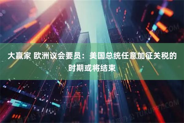 大赢家 欧洲议会要员：美国总统任意加征关税的时期或将结束