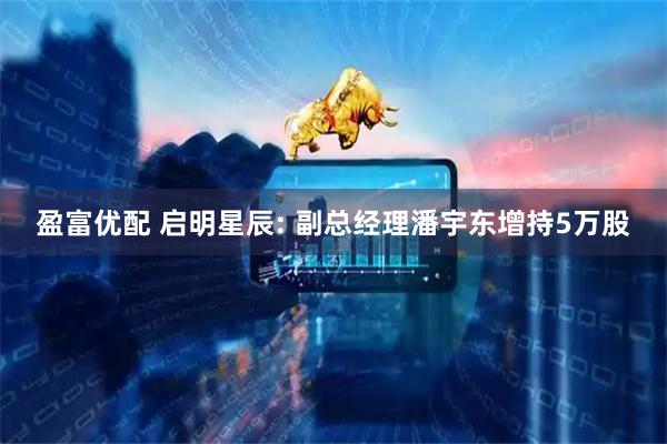 盈富优配 启明星辰: 副总经理潘宇东增持5万股