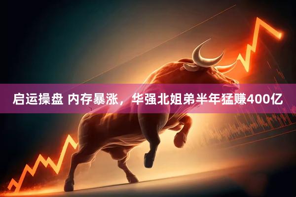 启运操盘 内存暴涨，华强北姐弟半年猛赚400亿